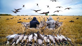 2 GUYS 30 BIRDS PLUS A BAND!