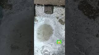 easy trick to kill bacteria inside Septic tank 😱💪💩 #septictank #reels #short #viral #shorts