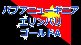 コーヒーVLOG　パプアニューギニア　エリンバリゴールドA　上品な華やかさ