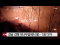 경남 김해 대나무숲에서 불...1명 다쳐 ytn