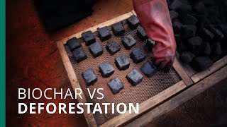 Biochar from banana peels breaks ground in Cameroon