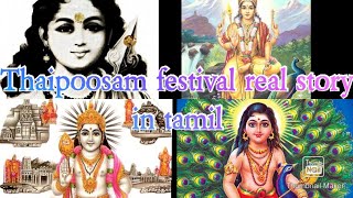 Thaipoosam festival real story in tamil தைப்பூசம் வரலாறு தமிழில்