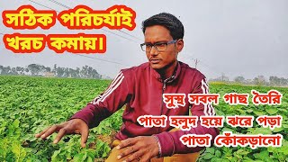 আলু চাষ করতে গিয়ে এ বছর আপনাদের যে যে সমস্যার সম্মুখীন হতে হচ্ছে!