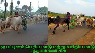 10/02/2021 SR பட்டினம் பெரிய மாடு மற்றும் சிறிய மாடு பந்தயம் small click