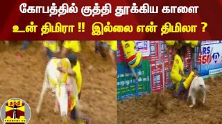 கோபத்தில் குத்தி தூக்கிய காளை !  - உன் திமிரா !!  இல்லை என் திமிலா ? | #AlanganallurJallikattu