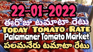 22-01-2022 పలమనేరు 🍅🍅🍅టమాటో మార్కెట్ ధరలు ||ఈ రోజు టమోటా ధర Palamaner Market ||‎‎@ckgowthamvlogs