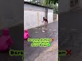 rumah banjir kdista ga bilang mami mandi hujan shortviral shortvideo trending trend viralvideo short