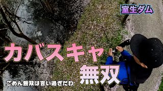 【室生ダム】カバースキャットのアクションはこれでいい【バス釣り】