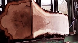 Amazing Biggest Wood Sawmill Machines Working, Incredible Cutting Lumber At Woodworking Factory