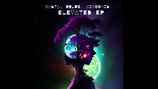 Ranta, Dulus, Miroshin - Elevated (Original Mix)