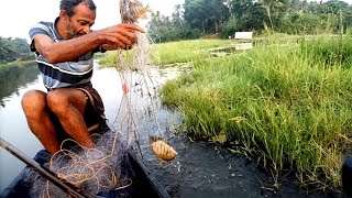 🎣പാടത്ത് വലയിട്ട് നാടന്‍മീന്‍പിടുത്തം🎣 fishing|fishing Kerala|fishing malayalam|village fishing|fish