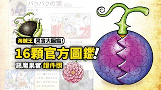 Read the 16 official Devil Fruit illustrations in one go