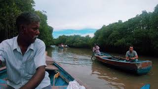 Trip Neyveli to Pichavaram | Chidambaram | Felic cabs | Mangrove forest Guardians of the Coast