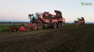 Rübenroden XXL | Grimme | Claas | Holmer