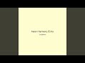 Neon Harmony Echo