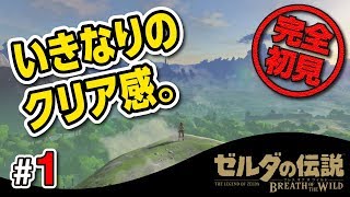 【初見実況】#1「初めてのオープンワールド」【ゼルダの伝説ブレスオブザワイルド】