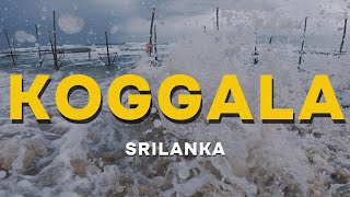 Explore the Beauty of Koggala Beach | Sri Lanka's Hidden Gem 🌊🏝️#galle #beach #sea