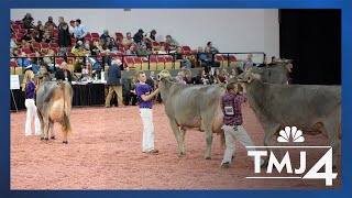 Step inside the World Dairy Expo in Madison