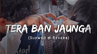 (Slowed & Reverb) - Tera Ban Jaunga | Lofi Song🎧🤗❤ | Kabir Singh | #lofi#hindilofi#kabirsingh#song