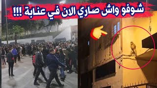 شاهدو ما يفعله قرد الان في حي سيرايدي بولاية عنابة...لا حول ولا قوة الا بالله هذا لي كان باقي