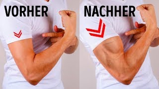 6 einfache Übungen für muskulösere Arme ohne Fitnesscenter