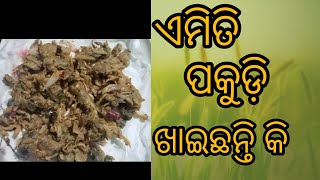 ଏମିତି ପକୁଡ଼ି ଖାଇଛନ୍ତି କି//odia vlogs//New Chameli ଶ୍ରୀମତୀ କମ୍ ନୁହନ୍ତି ♥️♥️