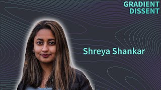 Operationalizing Machine Learning: Interview with Shreya Shankar