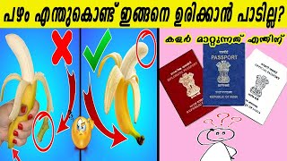 വീൽ  ചെയറിൽ  ഇരിക്കുന്ന ഗോൾഡ് ഫിഷ്  ഉണ്ടോ ?5 മിനിറ്റ് മുൻപ് വരെ നിങ്ങൾക്ക് അറിയില്ലായിരുന്ന വസ്തുതകൾ