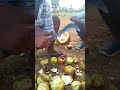 4 கண்ணு நுங்கா 😱 நுங்கு சாப்பிட வாங்க 😋 shortsfeed நுங்கு summervibes tamil villagelife viral