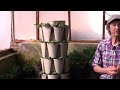 what soil type will grow amazing strawberry plants