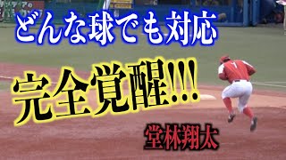 完全に覚醒！どんな打球でも簡単そうに処理する堂林翔太の内野ノック【広島東洋カープ】