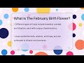 what is the february birth flower the plant enthusiast