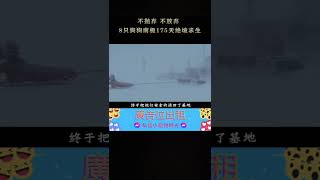 南極大冒險/極地雪犬/極地長征 #2 不拋棄 不放棄 8只狗狗南極175天絕經求生 #EightBelow #雪橇犬 #求生 #真實事件 #電影 #解說