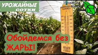 ЖАРА! 5 СПОСОБОВ уберечь растения от жары!