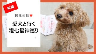 開運招福！愛犬と行く 港七福神巡り〜前編〜 【ティーカッププードルだったはずのアム】