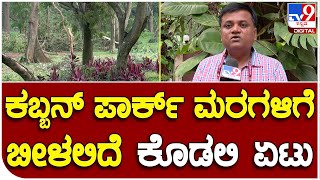 Cubbon Park: ರಣಭೀಕರ ಮಳೆಯಿಂದಾಗಿ ಐತಿಹಾಸಿಕ ಕಬ್ಬನ್ ಪಾರ್ಕ್ ಉದ್ಯಾನದ ಮರಗಳಿಗೆ ಕೊಡಲಿ..? |#TV9B