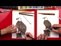 how to draw a realistic bald eagle