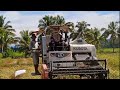 rice harvest nsic rc 506 rice variety maraming inani at mabigat pa