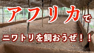 ニワトリ飼育のリアルな現場 〜鶏舎建設編〜