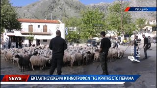 Έκτακτη σύσκεψη κτηνοτρόφων της Κρήτης στο Πέραμα