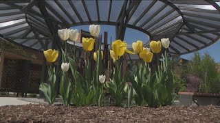 University of Idaho community remembers students who lost their lives