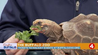 Daytime Buffalo: Holiday events at the Buffalo Zoo | Tickets available at buffalozoo.org