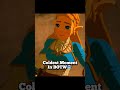 Coldest Moment In BOTW