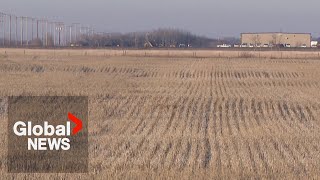 Dry winter causes concerns for Canadian agriculture workers