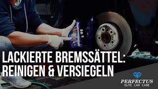 Bremssattel pflegen - Bremsanlage reinigen und versiegeln