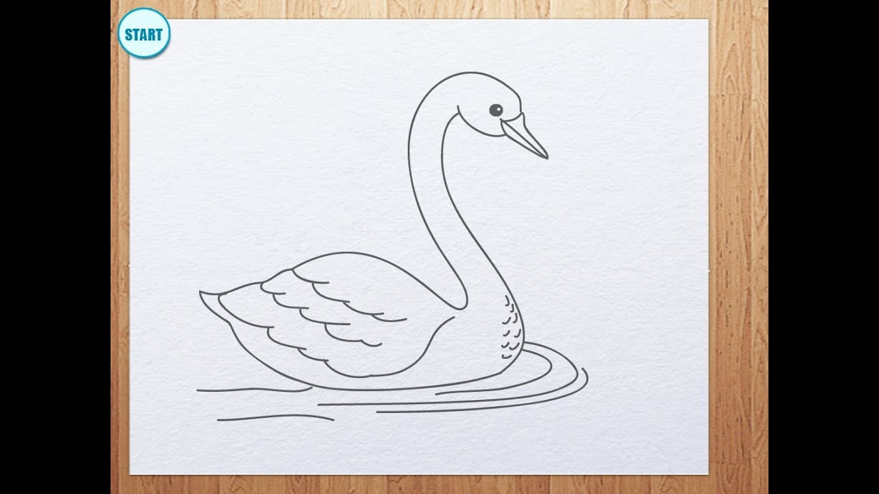 How To Draw Swan - YouTube