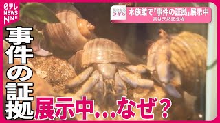 【実は天然記念物】「事件の証拠」水族館で展示中…  警察署に大量に持ち込まれ…  神奈川県