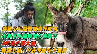 民間故事：瘸腿小毛驢要被賣掉吃肉，小夥見毛驢嘶鳴心善買下，3年後小夥大婚，瘸腿毛驢：今夜我替你入洞房