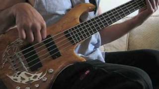 Traben Array Limited 5 Bass