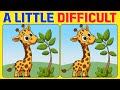 🧠🧩Spot the Difference | Brain Workout 《A Little Difficult》